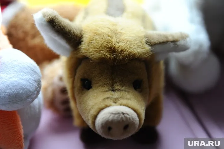 За последние сорок лет число детей с диагнозом «ожирение» выросло в десять раз