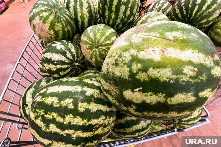 Отправители не смогли доставить бахчевые до челябинских прилавков