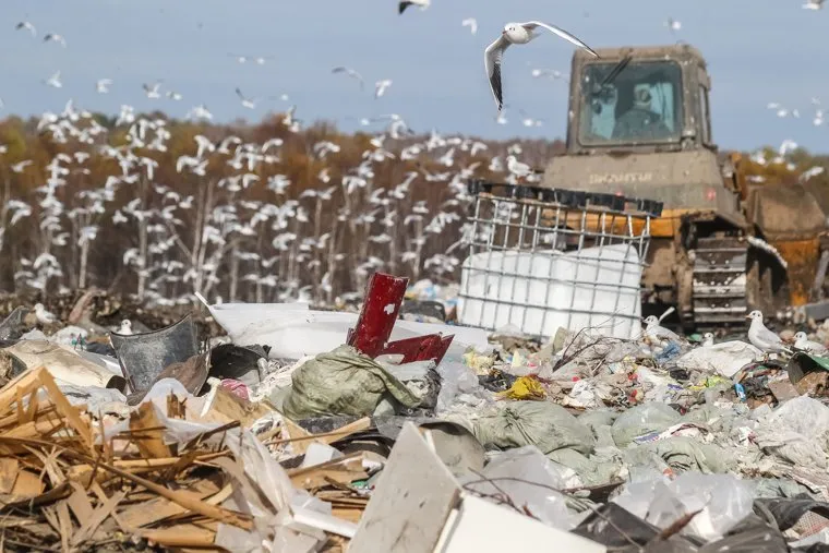 Проверка ОНФ и Общественной палатой Тюменской области полигона твердых бытовых отходов на Велижанском тракте. Тюмень, птицы, экология, отходы, полигон ТБО, мусор, свалка, чайки