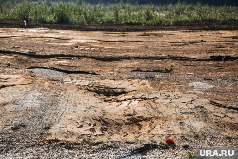 В Польше нашли захоронения времен Второй Мировой войны (архивное фото)