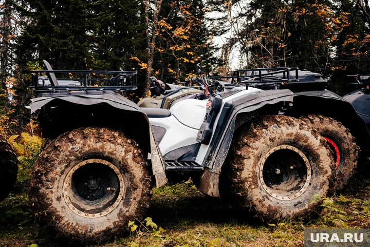 Пермяки катались по лесу на квадроцикле