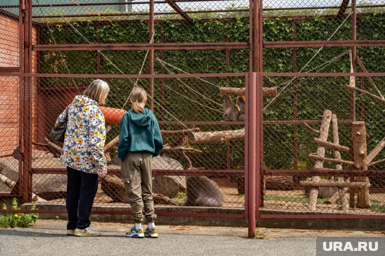 Электроснабжением обеспечили зоопарк в микрорайоне Нагорном