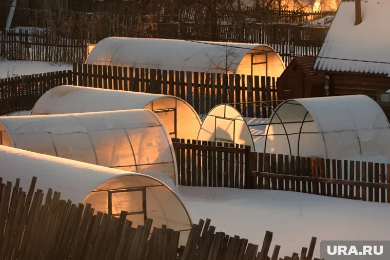 Цены на теплицы в ХМАО поднялась и еще будут расти 