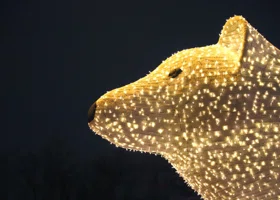 Белые новогодние медведи появятся в городе ЯНАО 