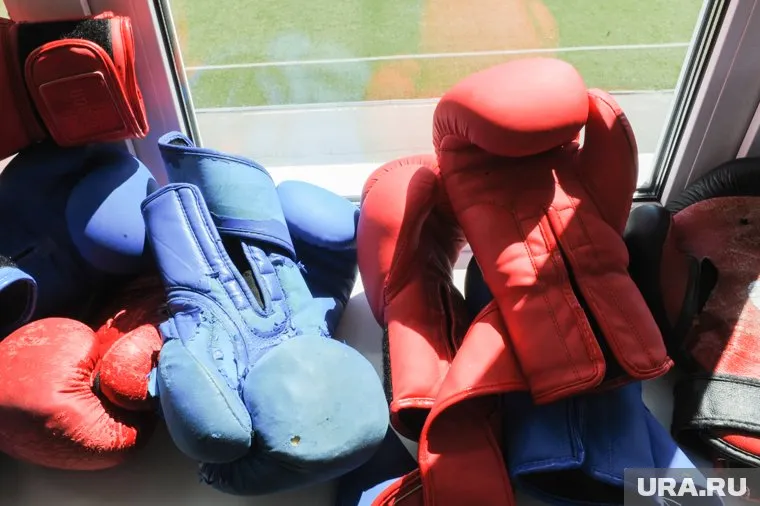 Курганский боксер Тамоян одержал много побед (архивное фото)