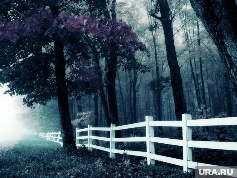 В документах раскрывается правда об инциденте в Рэндлшемском лесу