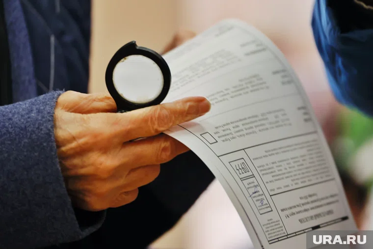 В Шадринске решили спор об итогах выборов в гордуму на участке ПНИ