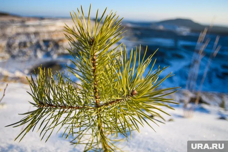 Губернаторам придется внимательнее относиться к окружающей среде