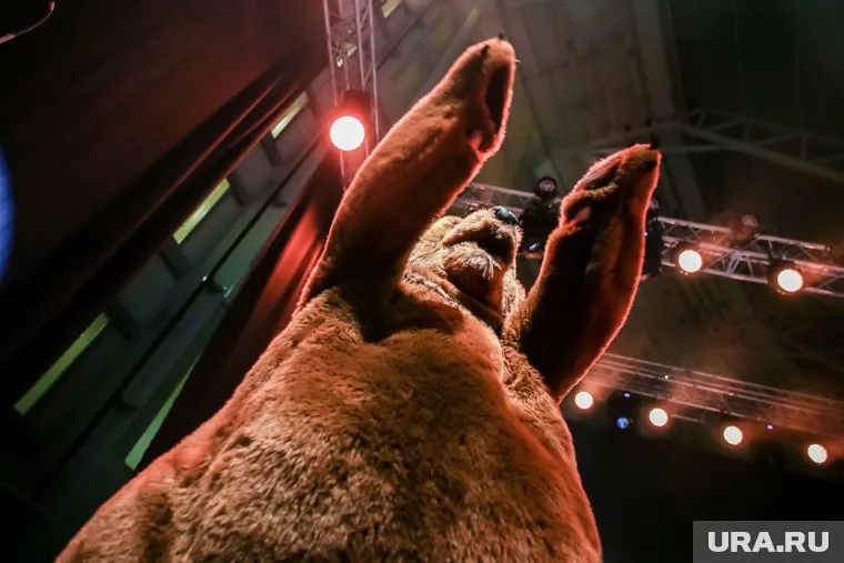 В Карелии медведь не выдержал и напал на дрессировщика