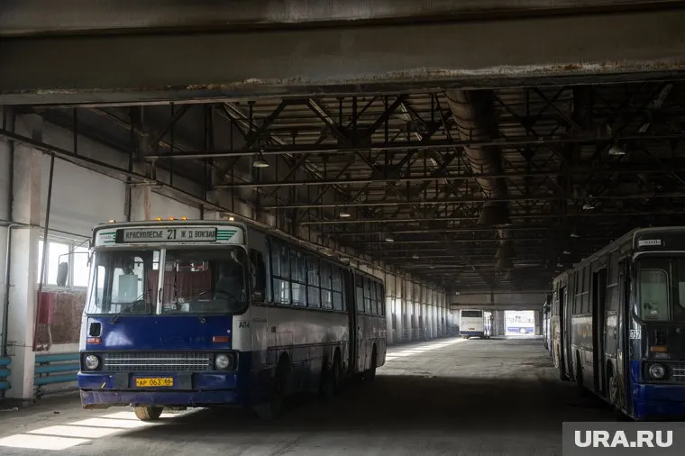 Перевозчики сообщают о больших финансовых потерях из-за коронавируса