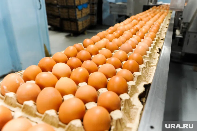 После провала аукционов по продаже алкозавода, неудачей закончились и торги по производству яиц