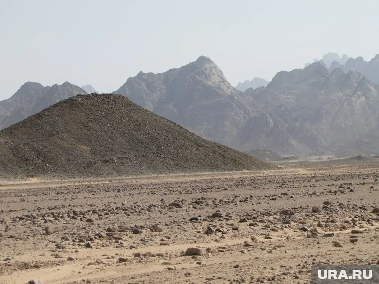 По заявлению одного из чиновников, уже захвачено множество постов