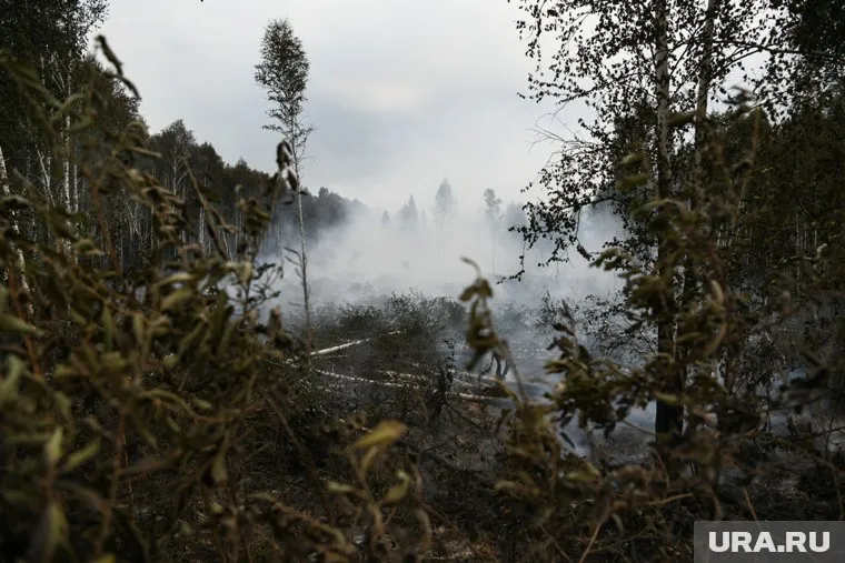 Необходимо информировать о последствиях пожаров, сказала Юлия Поломошнова