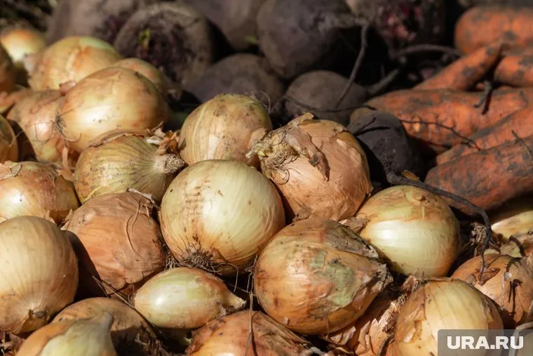 Недостающие объемы лука поставляют из южных регионов России и стран Центральной Азии