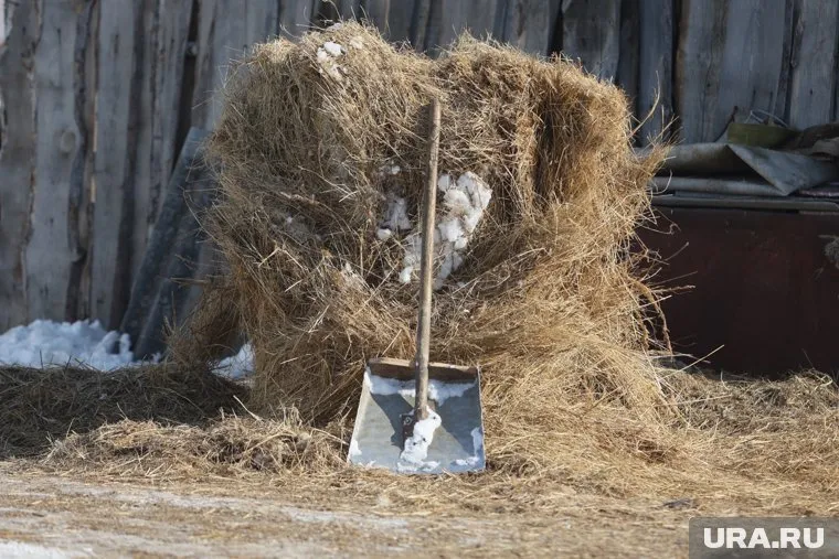 Пермяки на скорость скатятся с горы на лопатах