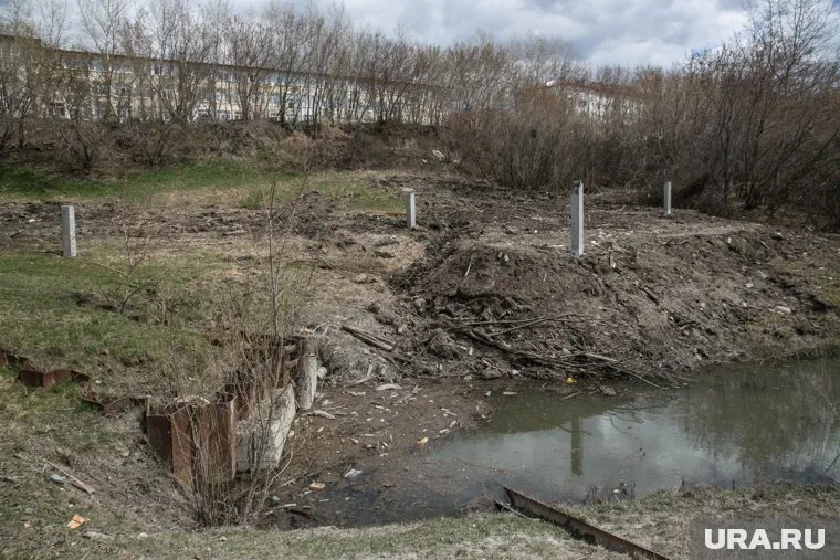 Студенческие общежития займут пятую часть территории лога