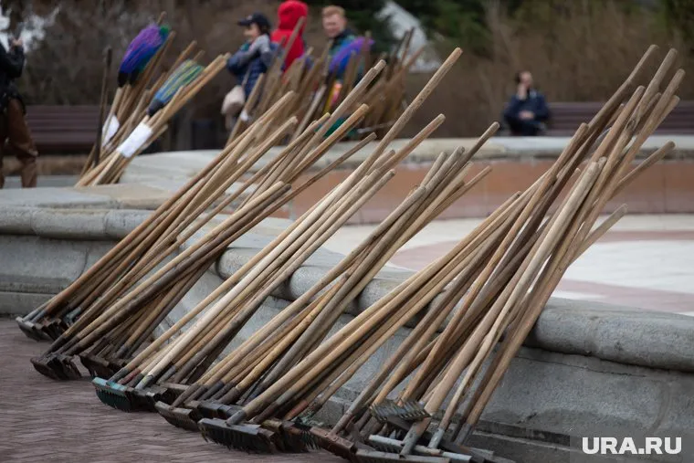Курганские подростки не могут попасть в трудовые отряды из-за сбоя на сайте