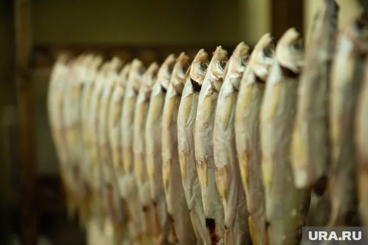 Из-за отсутствия термической обработки в рыбе могут оставаться паразиты