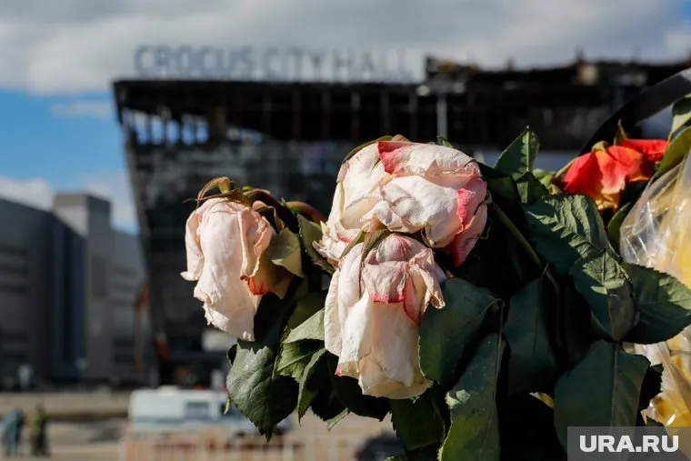 Мужчина, связанный с терактом в "Крокусе", осужден на 14 лет за попытку устроить взрыв в Новосибирске