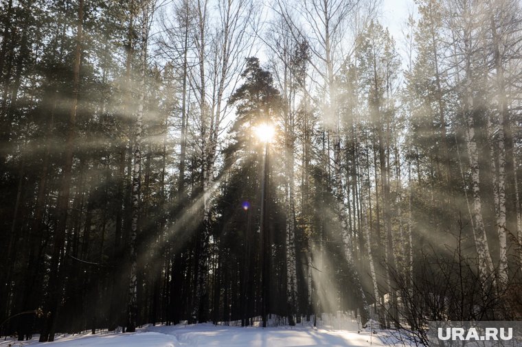 Накроет ли Землю 13 ноября 2025: какой силы будет магнитная буря