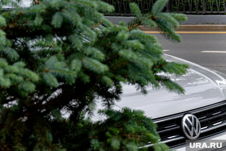 Цены на автомобили с пробегом снизились более, чем в 60 регионах России