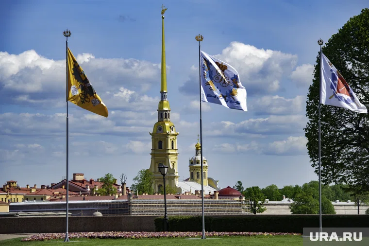 Указ о приобретении Санкт-Петербургом киностудии вступает в силу со дня подписания