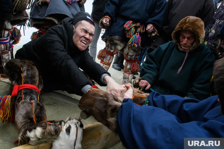 Размер займа у населения уже через два года может достигнуть в ЯНАО 27 млрд рублей