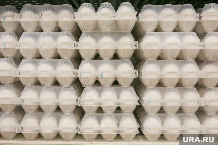 В магазинах изымают продукцию птицефабрики «Боровская»