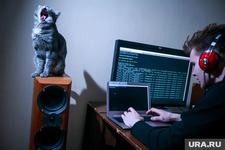 Злоумышленники могут использовать чужой компьютер для DDoS-атак