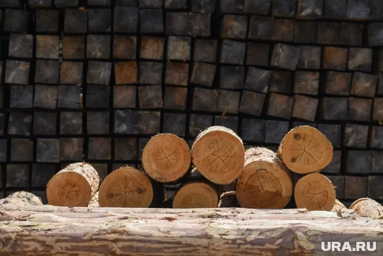 Вся лесозаготовительная продукция, которую пытаются экспортировать из Греции, будет конфискована, сообщает греческая газета