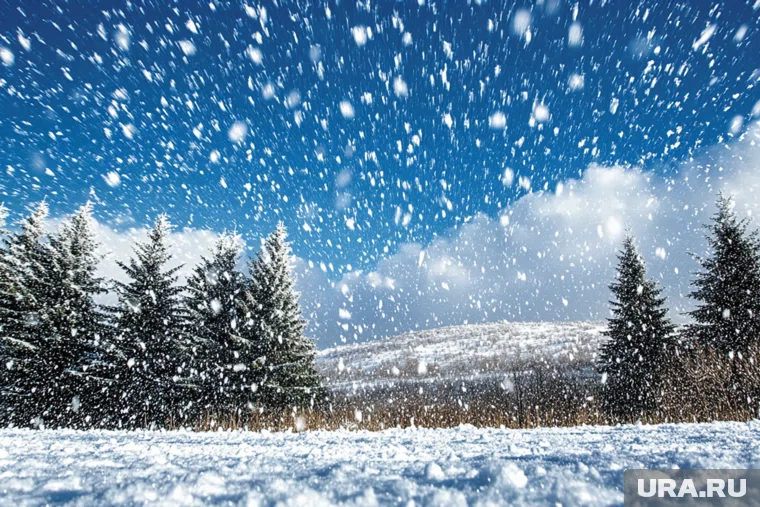 Арктическую зону ХМАО засыплет снегом