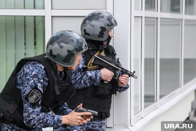 Фигурант уголовного дела задержан 