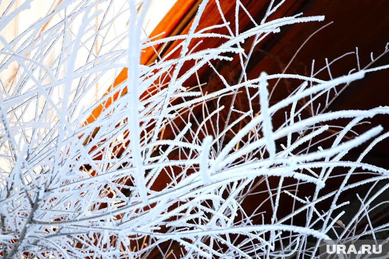 Курганцев предупредили об аномальных морозах