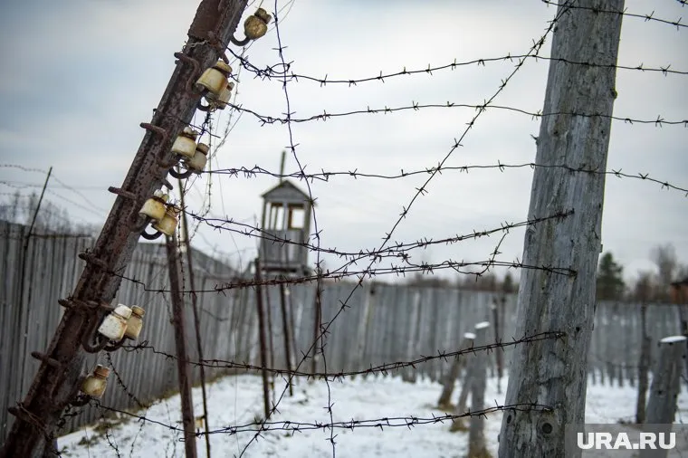 За серию краж вор-рецидивист получил шесть лет колонии строго режима