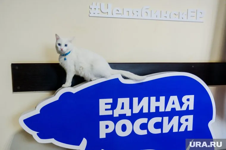 Общее число участников праймериз ЕР в Челябинской области приблизилось к двумя тысячам