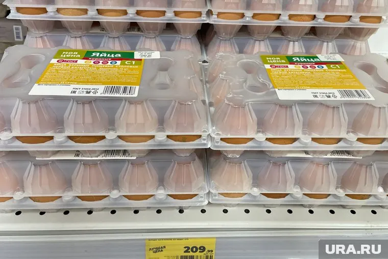 Обнуление таможенной пошлины одобрено для 1,2 миллиарда яиц