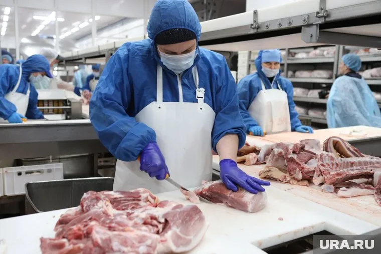 У перевозчика не было документов, указывающих на безопасность конины