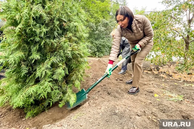 Заброшенные пустыри стали превращать в островки благоустройства