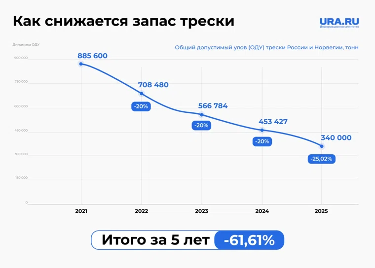 Запас трески резко сократился