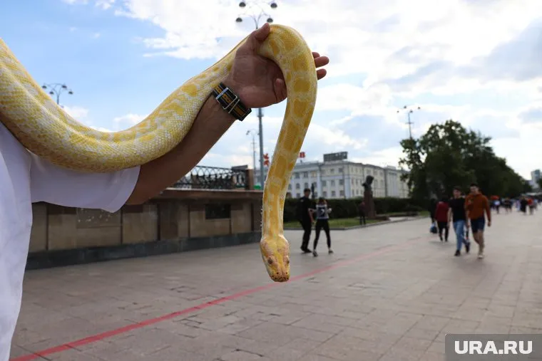 С наступлением тепла змеи становятся активнее (архивное фото)