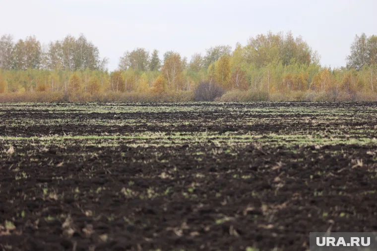 Заброшенную землю распахивают в Курганской области