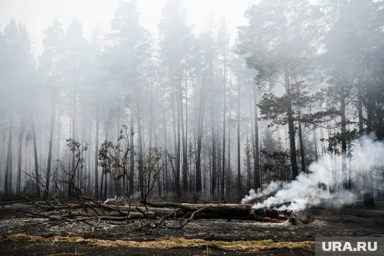 ЯНАО вошел в антирейтинг по обнаружению природных возгораний