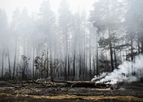 Фотография из галереи