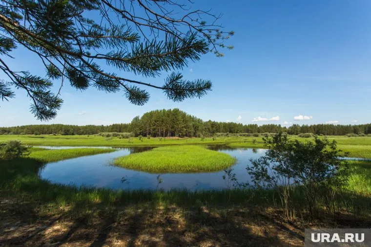 Эксперт посоветовал искать альтернативные маршруты в России и Азии