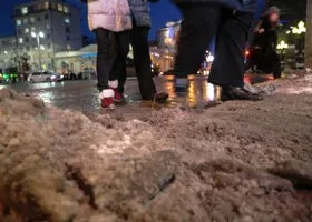 Фотография из галереи