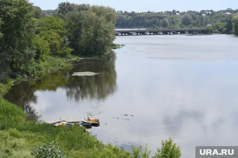 Труп нашли в реке