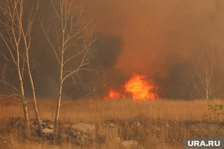 Из-за пожаров в регионе есть погибшие