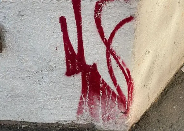 Фотография из галереи