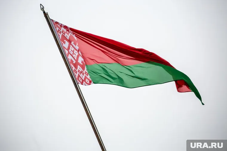 В Беларуси задержали Романа Протасевича