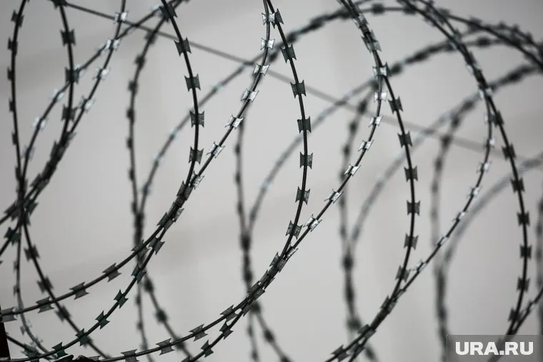 Трое молодых людей отправились в колонию